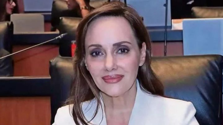 Políticos integrantes de la oposición en México han respaldado las declaraciones de la senadora panista a través de redes sociales