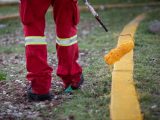 Supervisa Roberto Cabrera trabajos de mantenimiento y limpieza en Parque de Hacienda San Juan