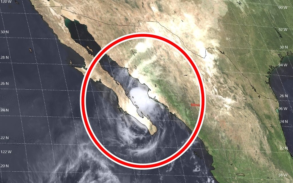 “Kiko” es el sexto huracán de la presente temporada de ciclones tropicales en el océano Pacífico; aquí todos sus datos