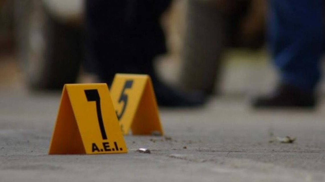En lo que va de 2025, casi una treintena de policías han sido ultimados en el estado guanajuatense