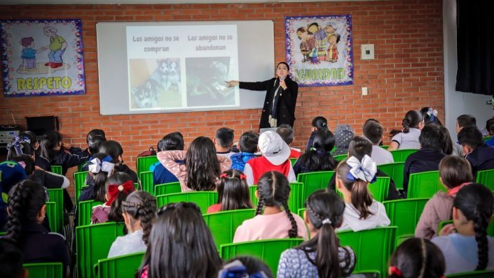 Estas sesiones están destinadas a que los maestros colaboren, analicen los avances académicos y diseñen estrategias que fortalezcan la enseñanza en clase