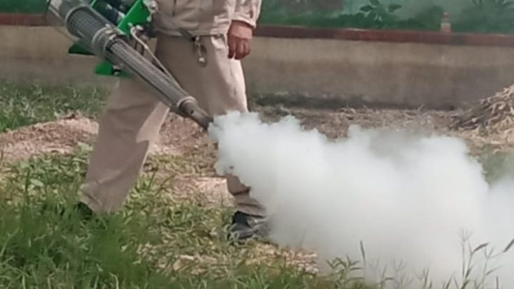 Realiza SESA vigilancia epidemiológica del dengue