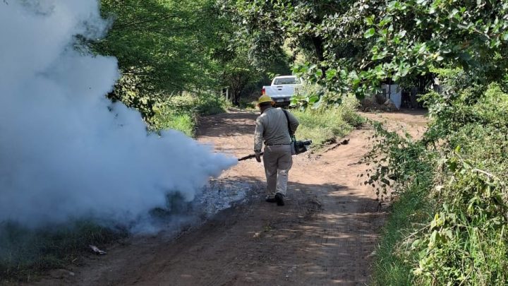 Promueve SESA la participación ciudadana en la prevención del dengue