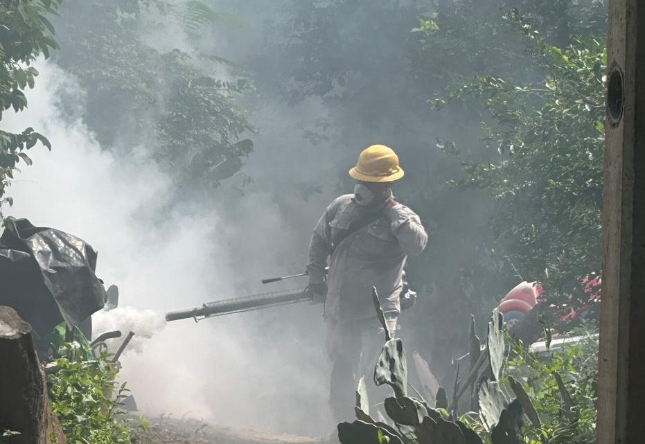 Impulsa SESA acciones preventivas contra el dengue