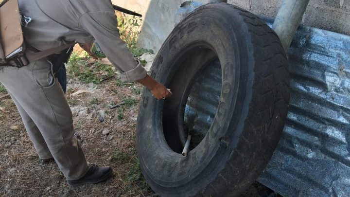 Mantiene SESA estrategias permanentes de monitoreo contra el Dengue