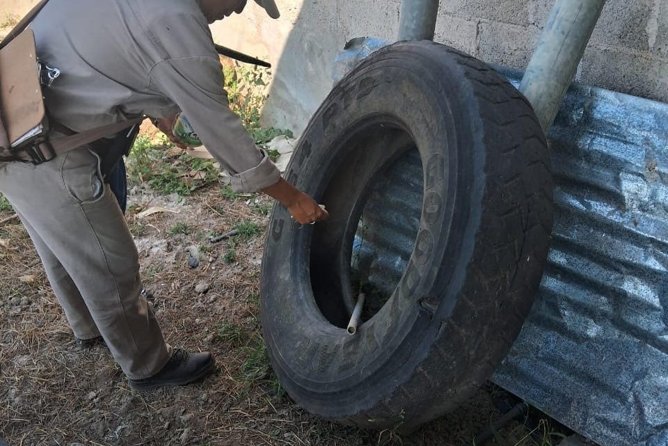 Mantiene SESA estrategias permanentes de monitoreo contra el Dengue