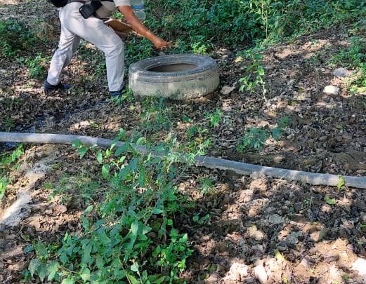 La participación ciudadana, fundamental para prevenir el dengue y eliminar criaderos