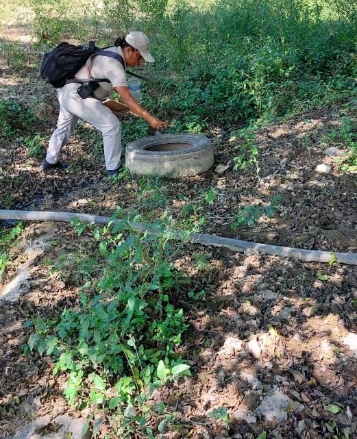 La participación ciudadana, fundamental para prevenir el dengue y eliminar criaderos