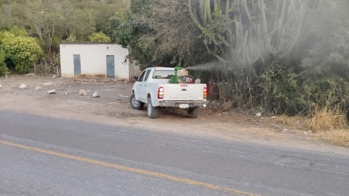 Mantiene SESA acciones de vigilancia epidemiológica contra el dengue