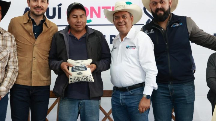 Registra SEDEA un avance del 50 por ciento en entrega de maíz