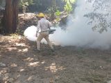 Refuerza SESA acciones de vigilancia epidemiológica contra el dengue