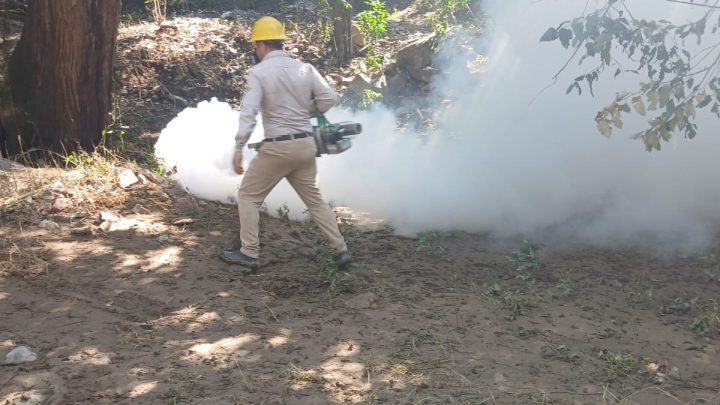 Refuerza SESA acciones de vigilancia epidemiológica contra el dengue