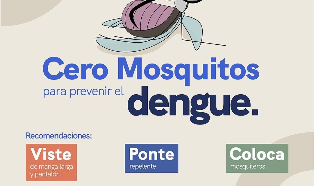 La Secretaría de Salud (SESA) del estado de Querétaro informa que, del 23 al 27 de marzo, llevará a cabo la 1ª Jornada de Lucha contra el Chikungunya y Dengue