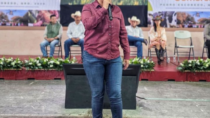 Sully Mauricio anuncia Exhorto a Conagua para atender demandas del campo queretano